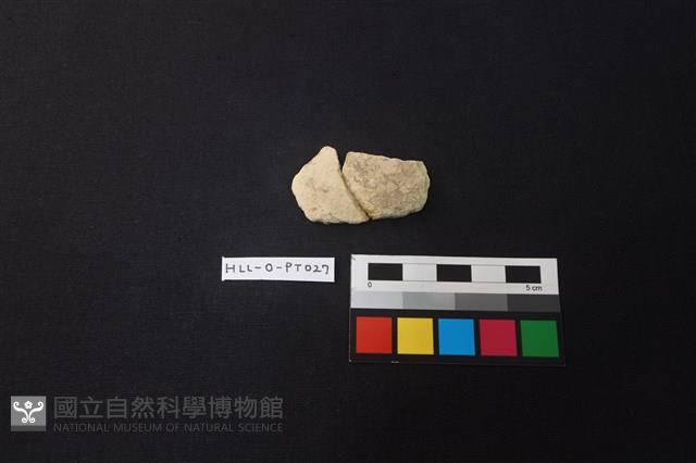 陶片藏品圖，第1張