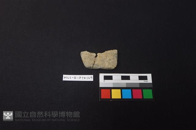 陶片藏品圖，第1張