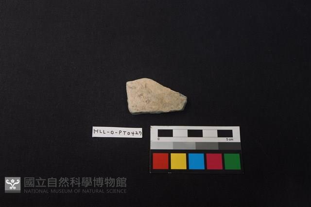 陶片藏品圖，第1張