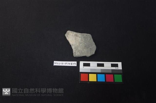 陶片藏品圖，第1張