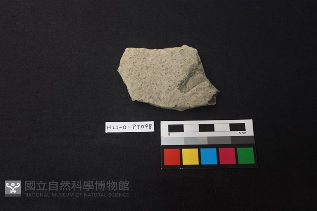 陶片藏品圖，第1張