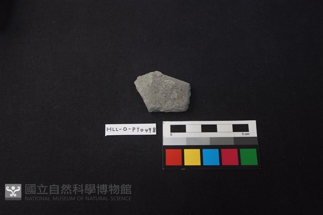 陶片藏品圖，第1張
