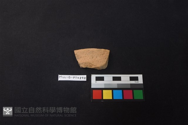 陶片藏品圖，第1張