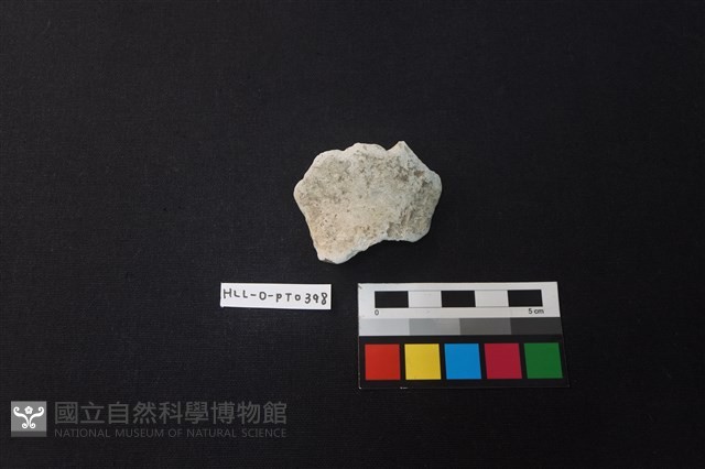 陶片藏品圖，第1張