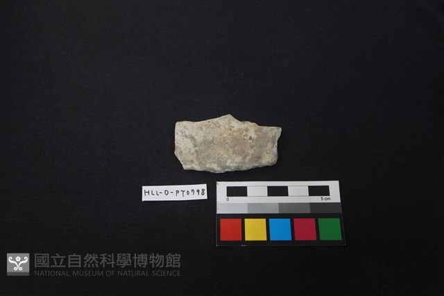 陶片藏品圖，第1張