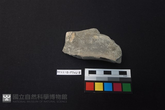 陶片藏品圖，第1張