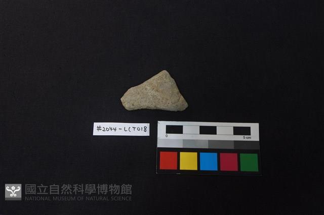 陶片藏品圖，第1張