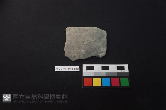 陶片藏品圖，第1張