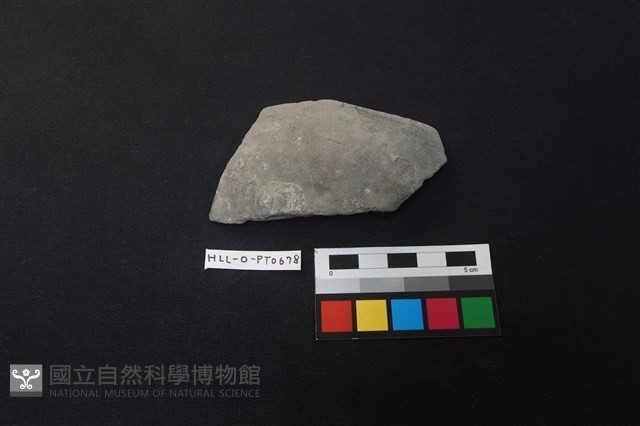 陶片藏品圖，第1張