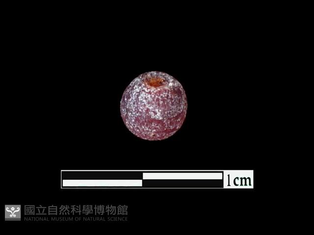 玻璃珠藏品圖，第1張