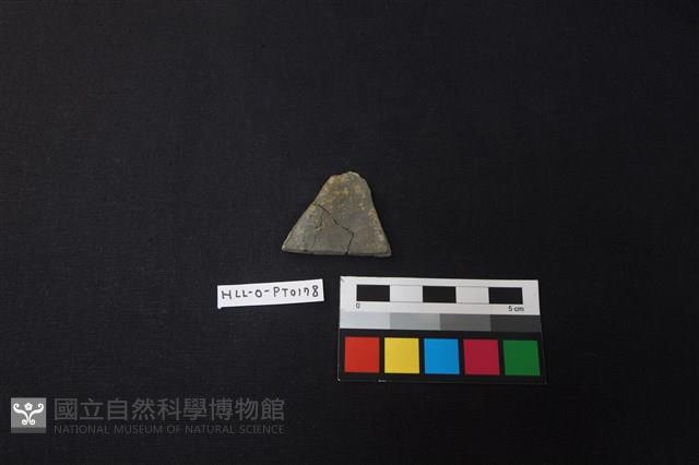 陶片藏品圖，第1張