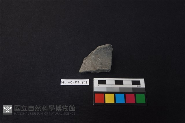 陶片藏品圖，第1張