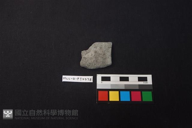 陶片藏品圖，第1張