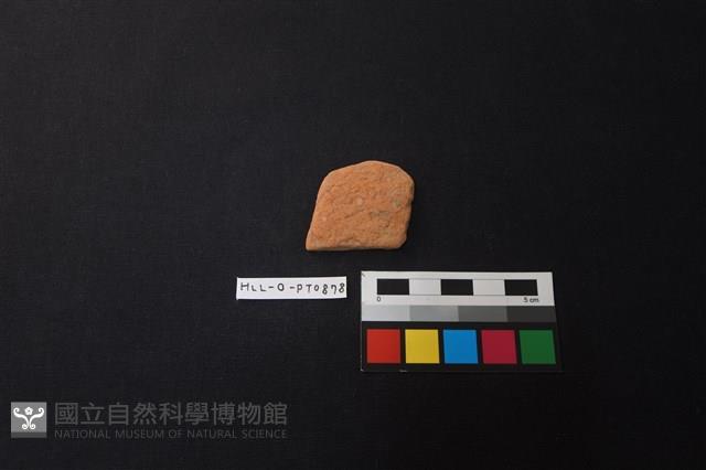 陶片藏品圖，第1張