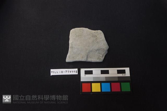 陶片藏品圖，第1張