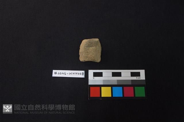 陶片藏品圖，第1張