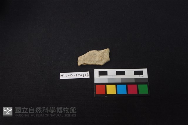 陶片藏品圖，第1張