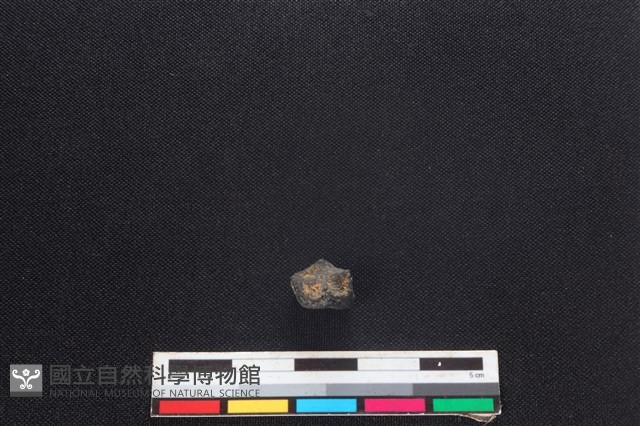 狗骨藏品圖，第1張