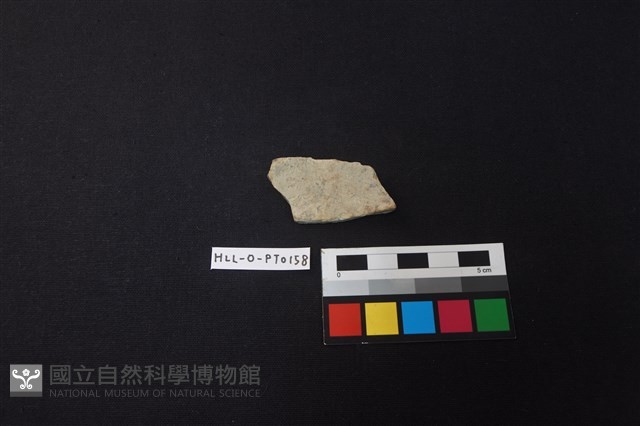 陶片藏品圖，第1張