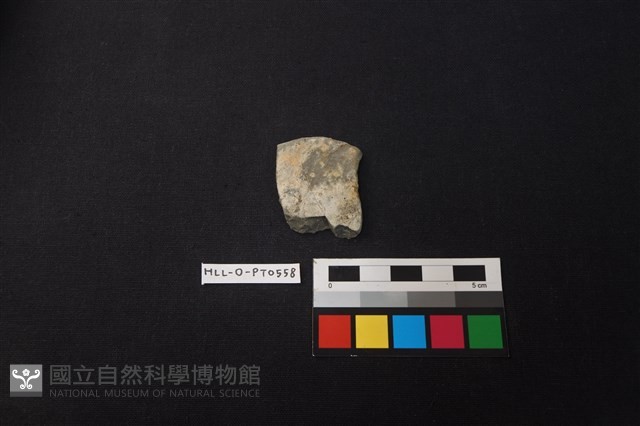 陶片藏品圖，第1張