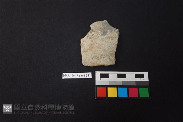 陶片藏品圖，第1張