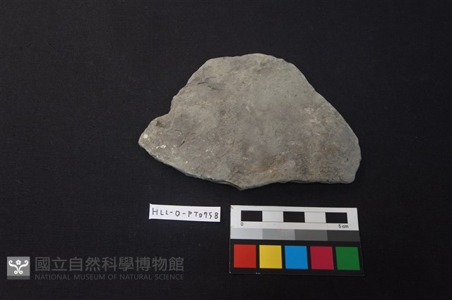 陶片藏品圖，第1張