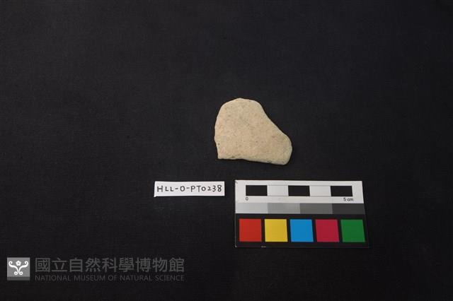 陶片藏品圖，第1張