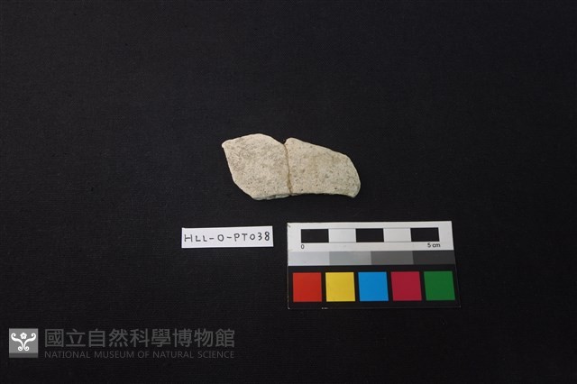 陶片藏品圖，第1張