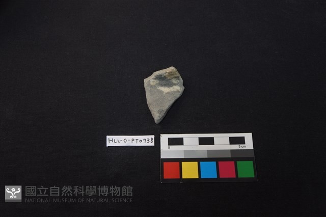 陶片藏品圖，第1張