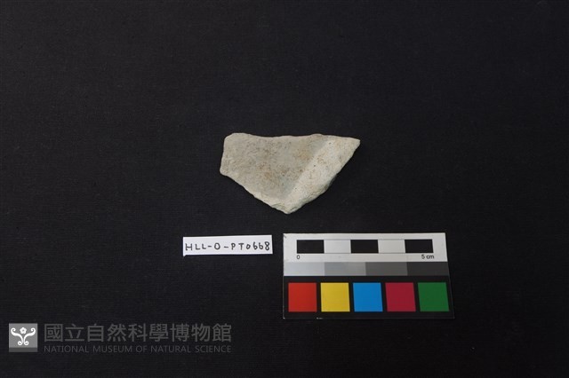 陶片藏品圖，第1張
