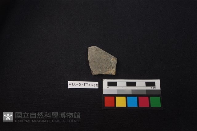 陶片藏品圖，第1張