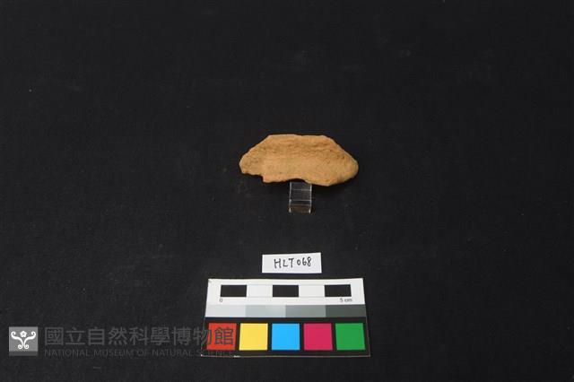 陶片藏品圖，第1張