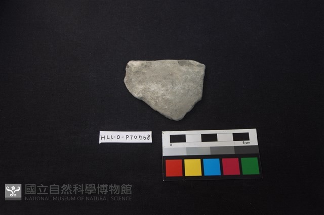 陶片藏品圖，第1張