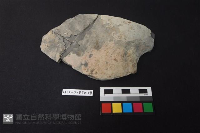 陶片藏品圖，第1張