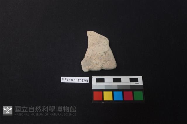 陶片藏品圖，第1張