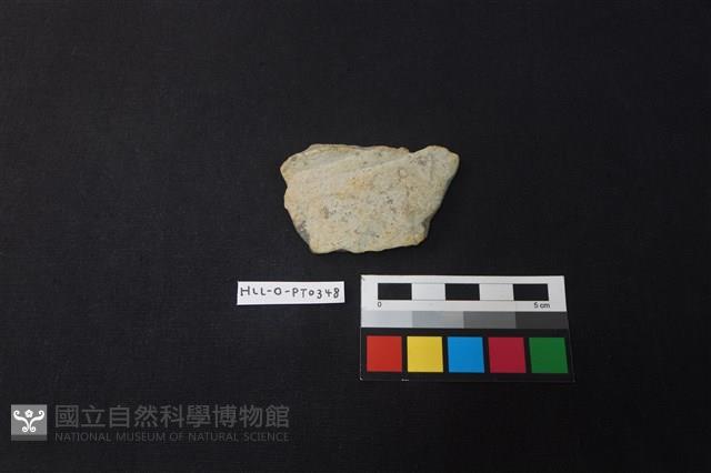 陶片藏品圖，第1張