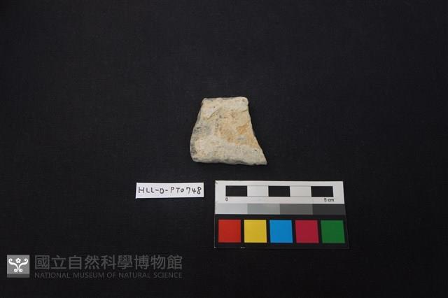 陶片藏品圖，第1張