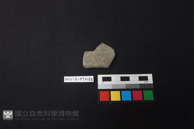 陶片藏品圖，第1張