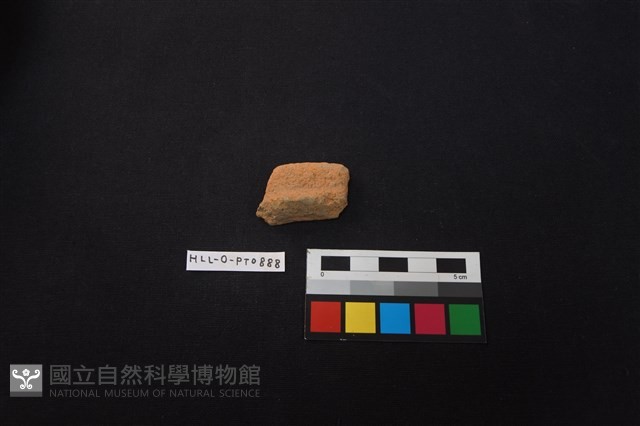 陶片藏品圖，第1張