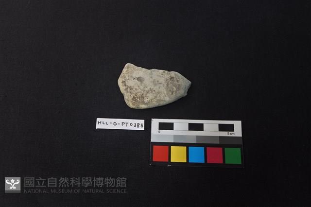 陶片藏品圖，第1張