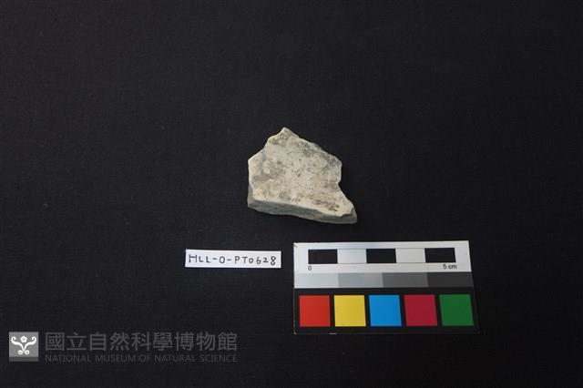 陶片藏品圖，第1張