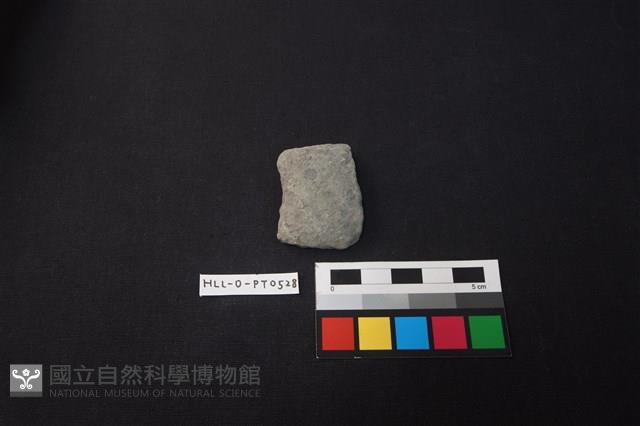 陶片藏品圖，第1張