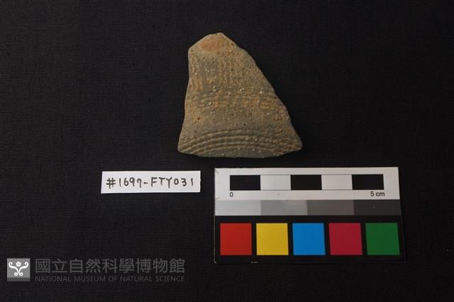 陶片藏品圖，第1張