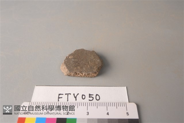 陶片藏品圖，第1張