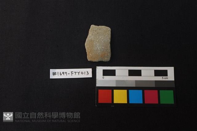 陶片藏品圖，第1張