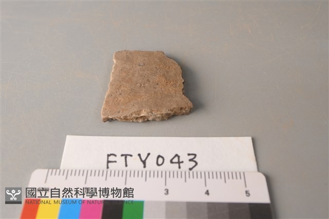 陶片藏品圖，第1張