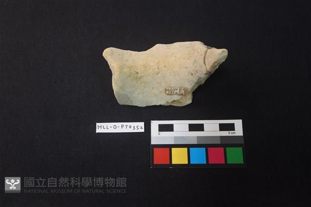 陶片藏品圖，第3張