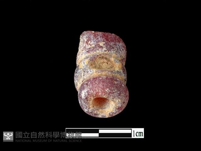 玻璃珠藏品圖，第3張