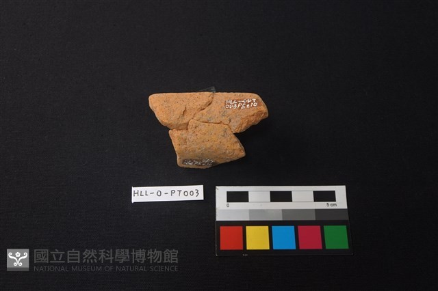 陶罐藏品圖，第3張