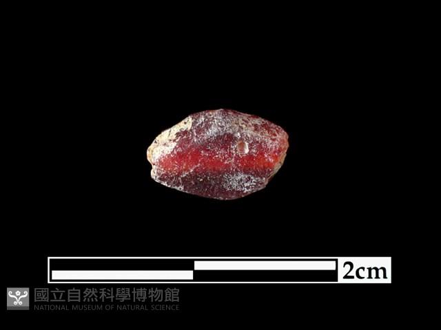 玻璃珠藏品圖，第3張